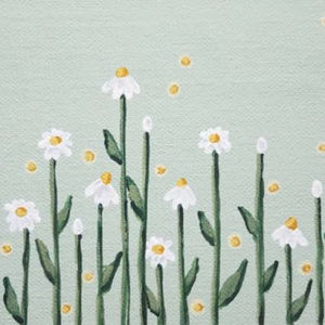 Meet your Posher, Piano